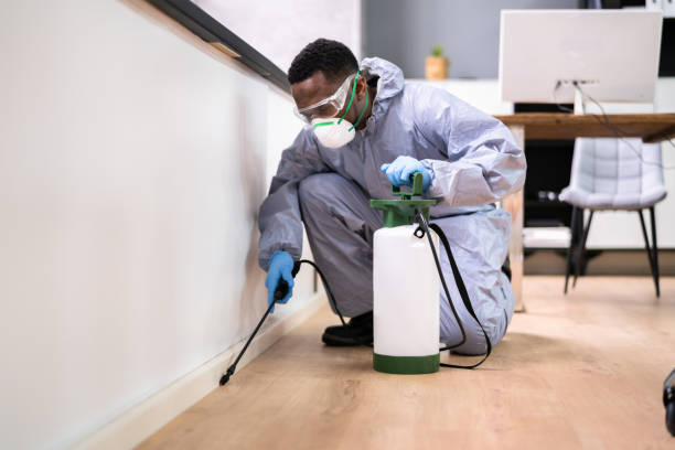 Best Residential Pest Control  in Deridder, LA